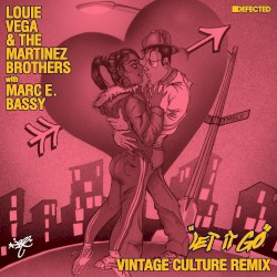 Let It Go (Vintage Culture remix)