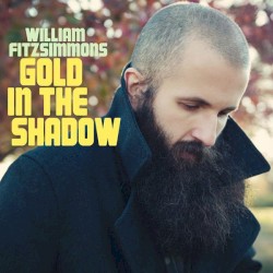 Gold in the Shadow (bonus disc)