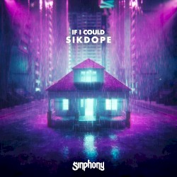 If I Could (extended mix)