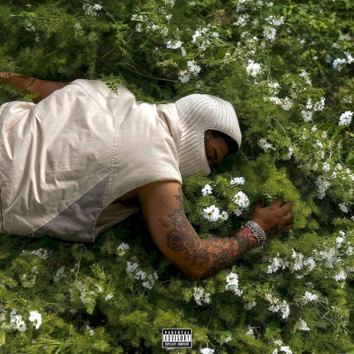 Before I Disappear Again (Deluxe)