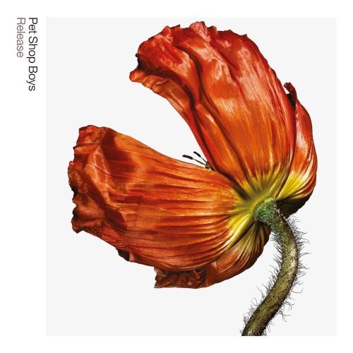 Release: Further Listening 2001 - 2004
