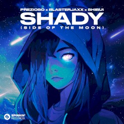 Shady (Side of the Moon) (extended mix)