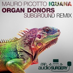 Iguana (Special Mixes)