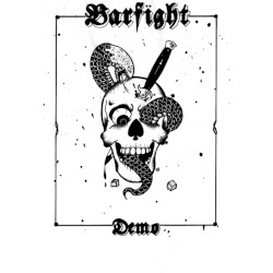 Barfight Demo