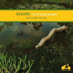 The 2 String Sextets