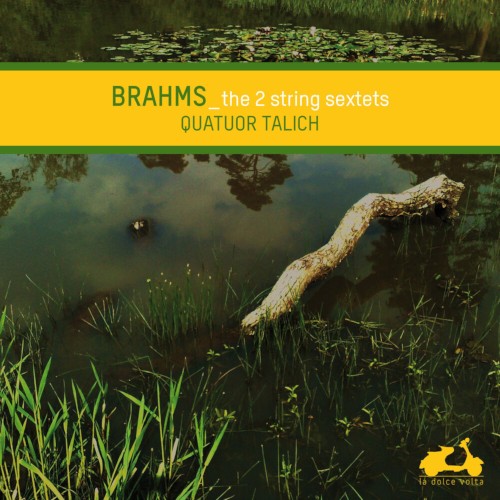 The 2 String Sextets