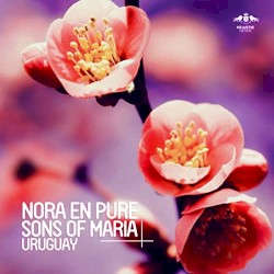 Uruguay (Passenger 10 remix)