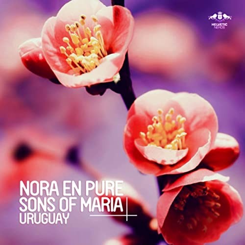 Uruguay (Passenger 10 remix)