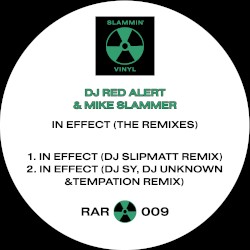 In Effect (The Remixes)