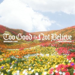Too Good to Not Believe (Radio Version)