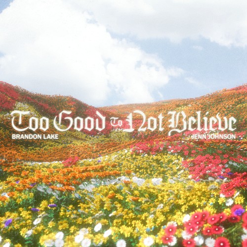 Too Good to Not Believe (Radio Version)