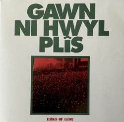 Gawn Ni Hwyl Plîs