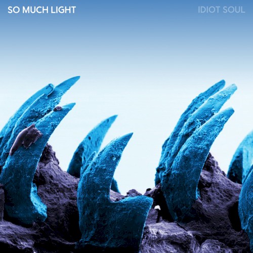 Idiot Soul EP