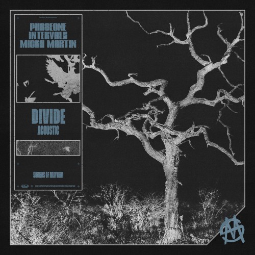 DIVIDE (acoustic)