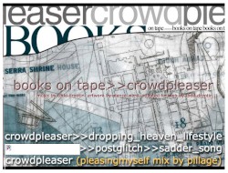 Crowdpleaser + Live at Orlando Magic Fest
