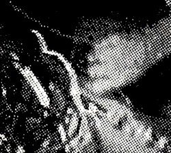 [untitled]
