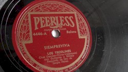 Siempreviva / Albricias