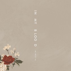 In My Blood (acoustic)