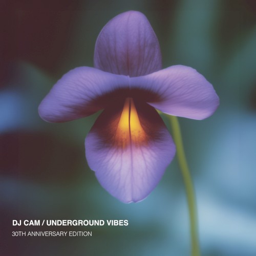 Underground Vibes (30th Anniversary Edition)