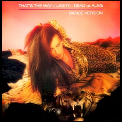 That's the Way (I Like It) (dance version)