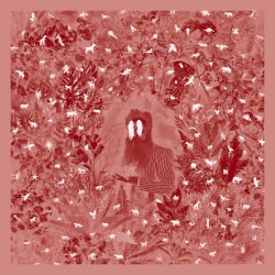 Hen’s Teeth (Deluxe Edition)