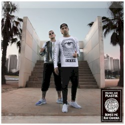 Palmen aus Plastik (track by track)