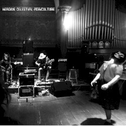 Temporary Capital of Awesomeness Live at Future Fest / The Stone Church / Brattleboro, VT 9/5/15