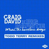 When the Bassline Drops (Todd Terry Remixes)