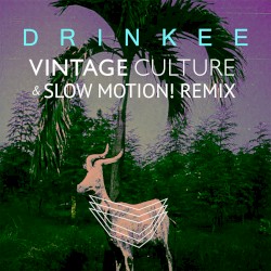 Drinkee (Vintage Culture & Slow Motion! remix)