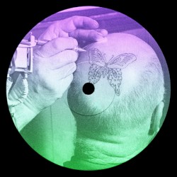 Butterfly Effect (Remixes)